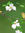 Marie-e