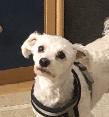 Fidemedia Konstantin