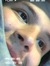 Wyatt T...