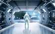 Dinonaut