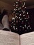 The Hued Bookstagrammer