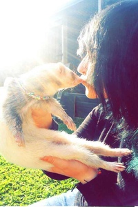 ꒦꒷♡fruitbat♡꒷꒦