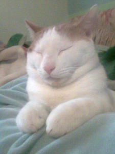 Φροσω Παπαδοπουλου