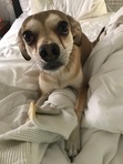 Debbie