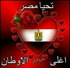 محمدسعد رؤية مصرية جديدة