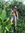 Elyse C...