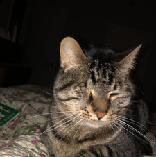 Emelia Gabbert-Payne