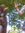 Feran | 20 comments