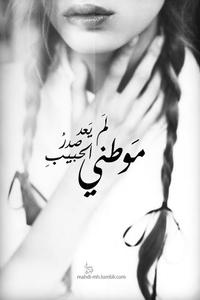 علا يوسف