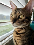 Oliver