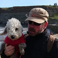 Mark Gibson