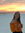 Brooke Doyle