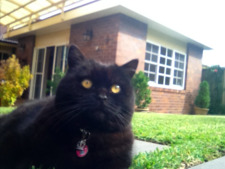 Lucy