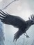 ☽¸¸.I am¸¸.•*¨ The ¸¸.•*¨*Phoenix¨*•♫♪ ☾
