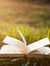 Book Faery