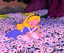 Alice In Wonderalnd
