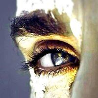 Ahmed Samir