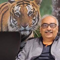 Vivek Halbe