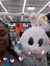 Jovan N...