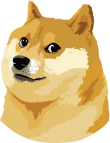 Critique Doge