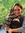 Fee | 98 comments