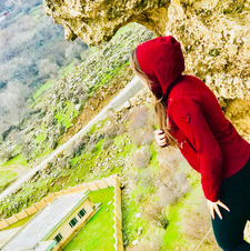 تاهير شاورى