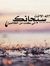 Safaa Safy