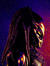 the rog...