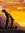 Armando | 30 comments