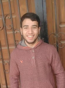 Ahmed Mohamed  Hewiedy