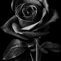 Rose Brim-Cornejo