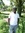 Davis Haguma