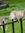 The Book Squirrel | 9 comments