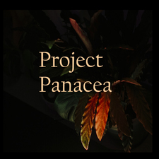 Project Panacea