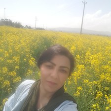 Elaheh