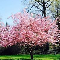 ऐश्वर्य शुक्ला