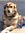 member photo member photo