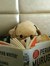 bongbooksandcoffee