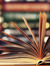 Books Books & More Books
