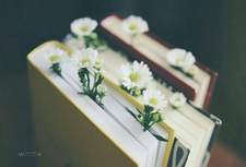 العمراني محمد