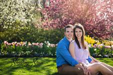 Molly Kroschewsky