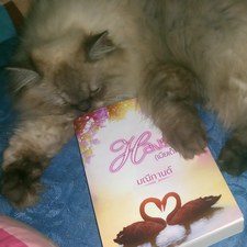 มณีกานต์ นิยาย