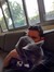 Dave M