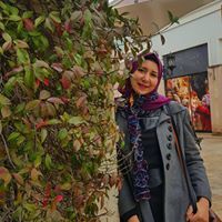 Haidy Mohamed
