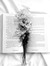 BooksRAGirlsBF