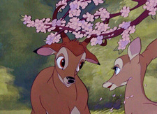 Kendra Suárez Cabrera