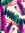 MeriS (smery) | 2 comments