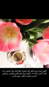 دلال عبدالعزيز