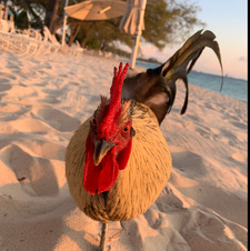 Lauren Holman (Lumpy)