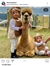 Ainn.Shafian